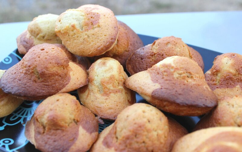 Madeleines marbrées vanille praliné