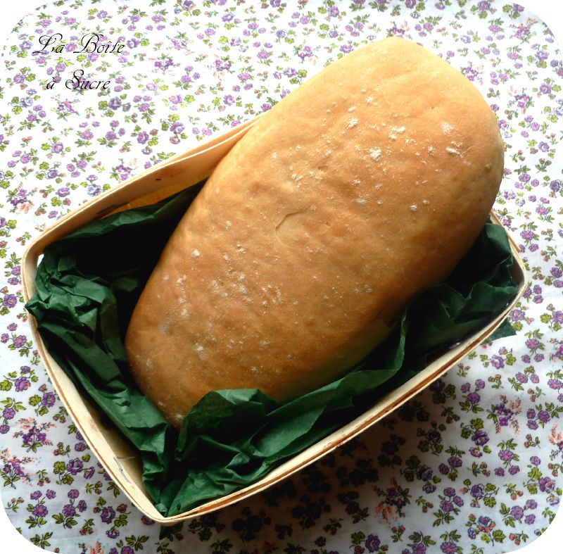Ciabatta à l’huile de basilic