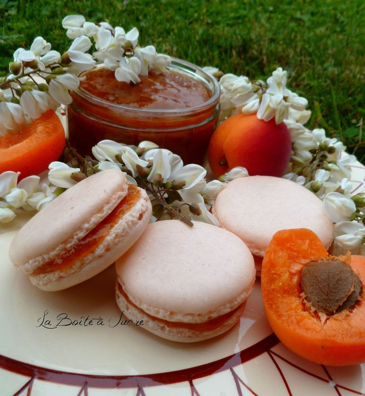 Macarons à l’abricot et fleurs d’acacia