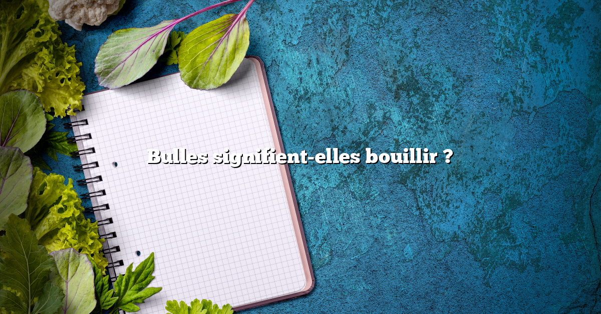 Bulles signifient-elles bouillir ?